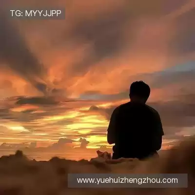 柳琴果
